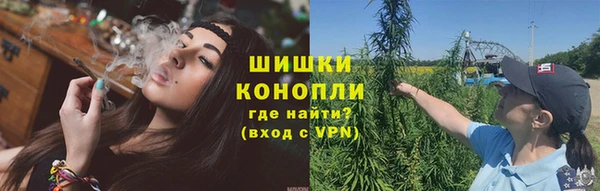 гашик Касимов