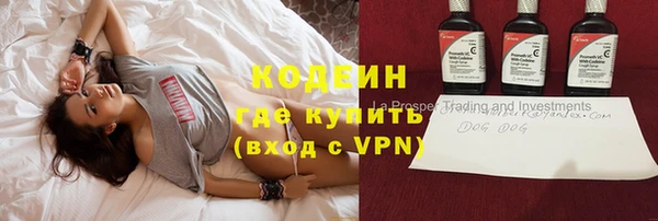 гашик Касимов