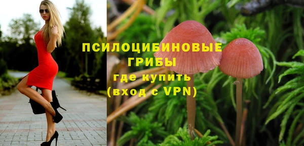прущие крисы Киреевск